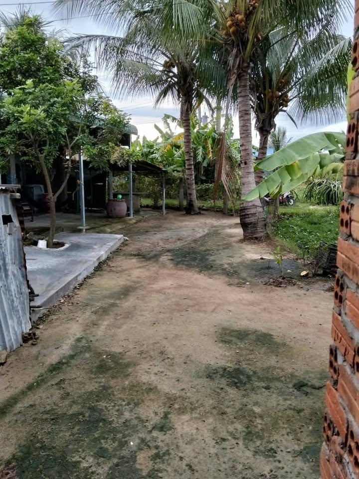 Đất thổ cư 103m² thôn Thuận Điền - Giá 600 triệu, thương lượng ngay!