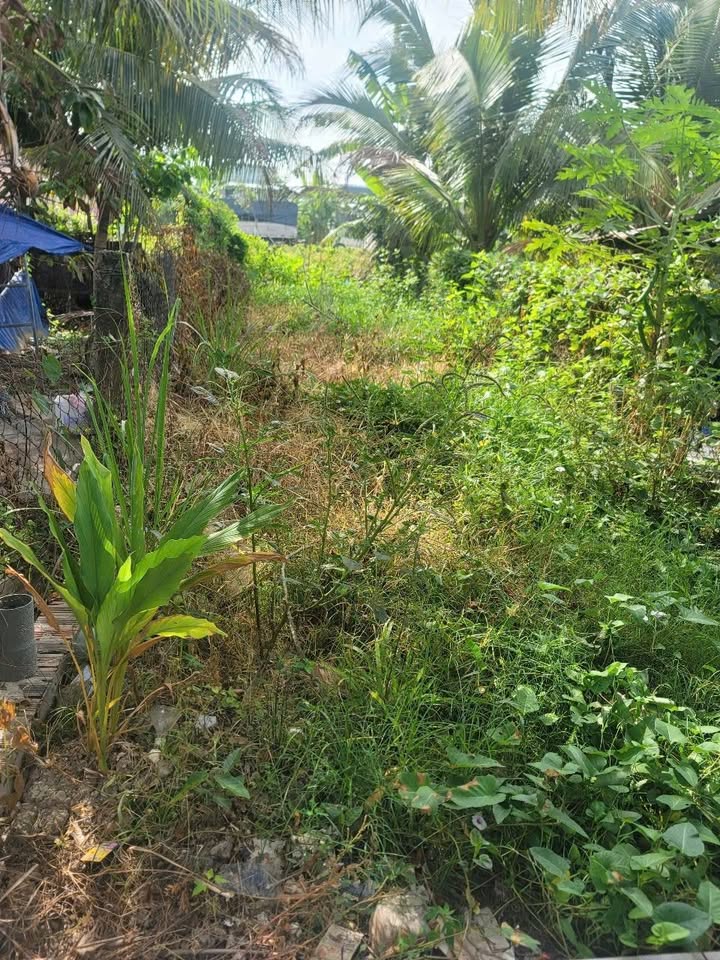 Đất thổ cư 119m² tại Vị Thanh giá chỉ 550 triệu - Cơ hội đầu tư lý tưởng!