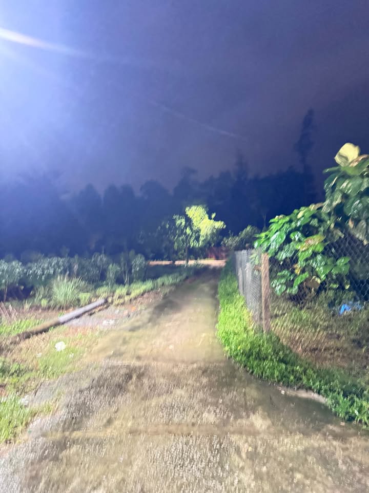 Đất nền Thanh Hải Thủy Xuân 100m² giá chỉ 1.1 tỷ - Cơ hội đầu tư tuyệt vời!