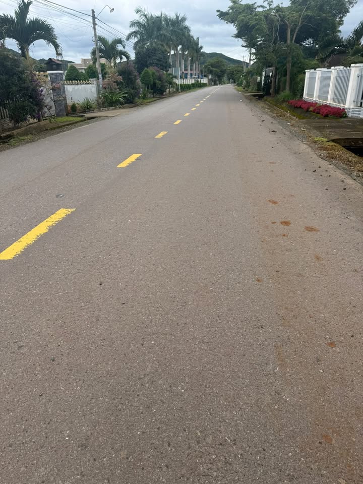 Đất thổ cư 1500m² tại đường nhựa Nhà thờ An Hoà - Cơ hội đầu tư tuyệt vời!