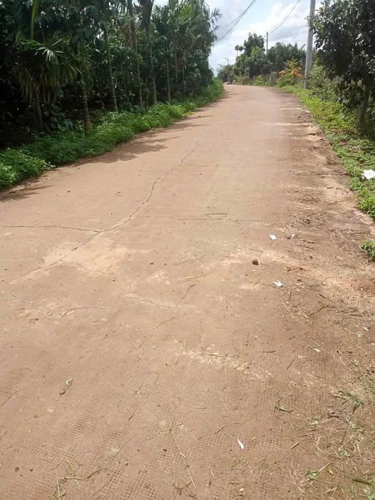 Đất nền Tân Lâm 19800m² giá 2.3 tỷ - Mặt tiền đường 7m thuận lợi