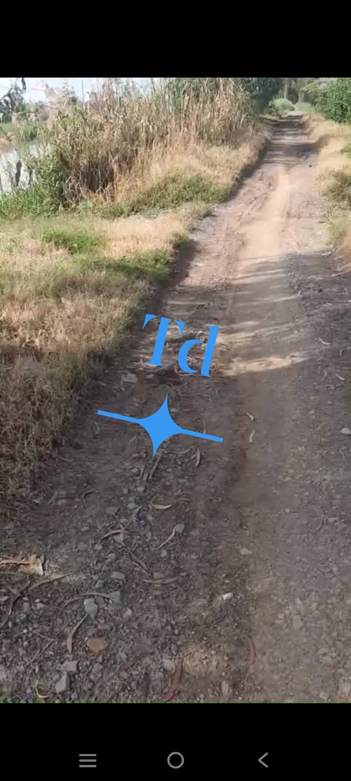 Đất nông nghiệp 19 công tại xã Trường Xuân, Tháp Mười, Đồng Tháp giá 3.42 tỷ - Cơ hội đầu tư hấp dẫn!