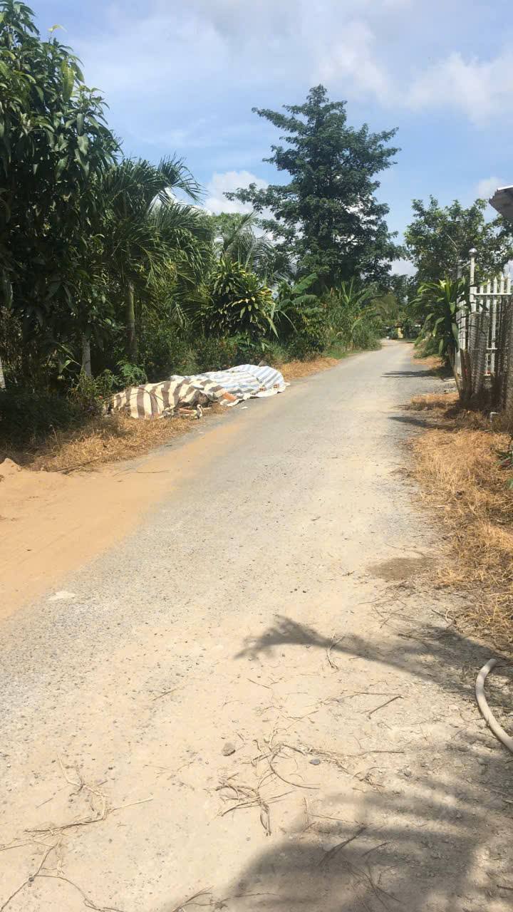 Đất vườn Mỹ Ngãi 300m² giá chỉ 589 triệu - Cách chợ chỉ 1km!