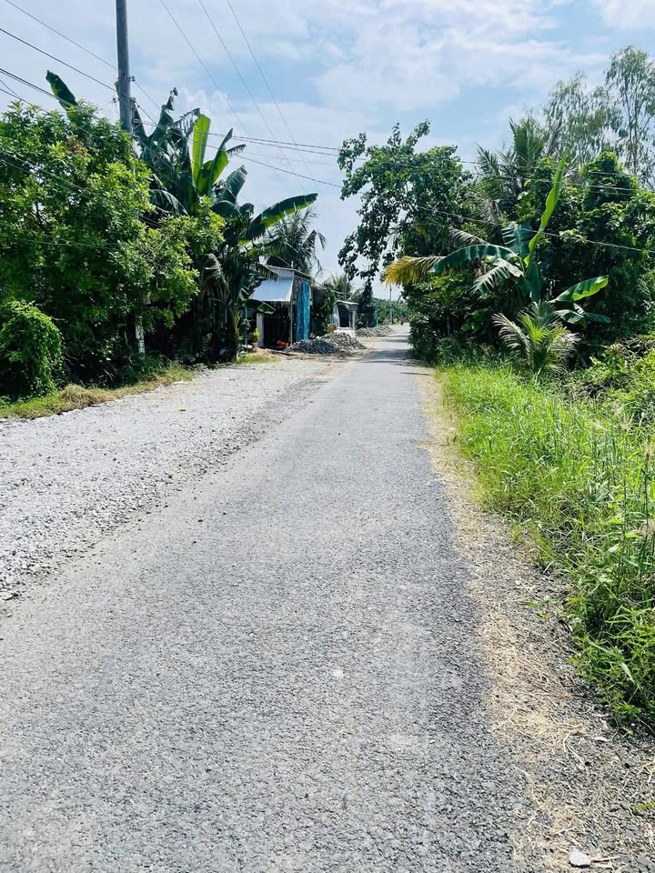 Đất nền mặt tiền nhựa xã Tân Mỹ 188m² giá 250 triệu - Cơ hội đầu tư tuyệt vời!