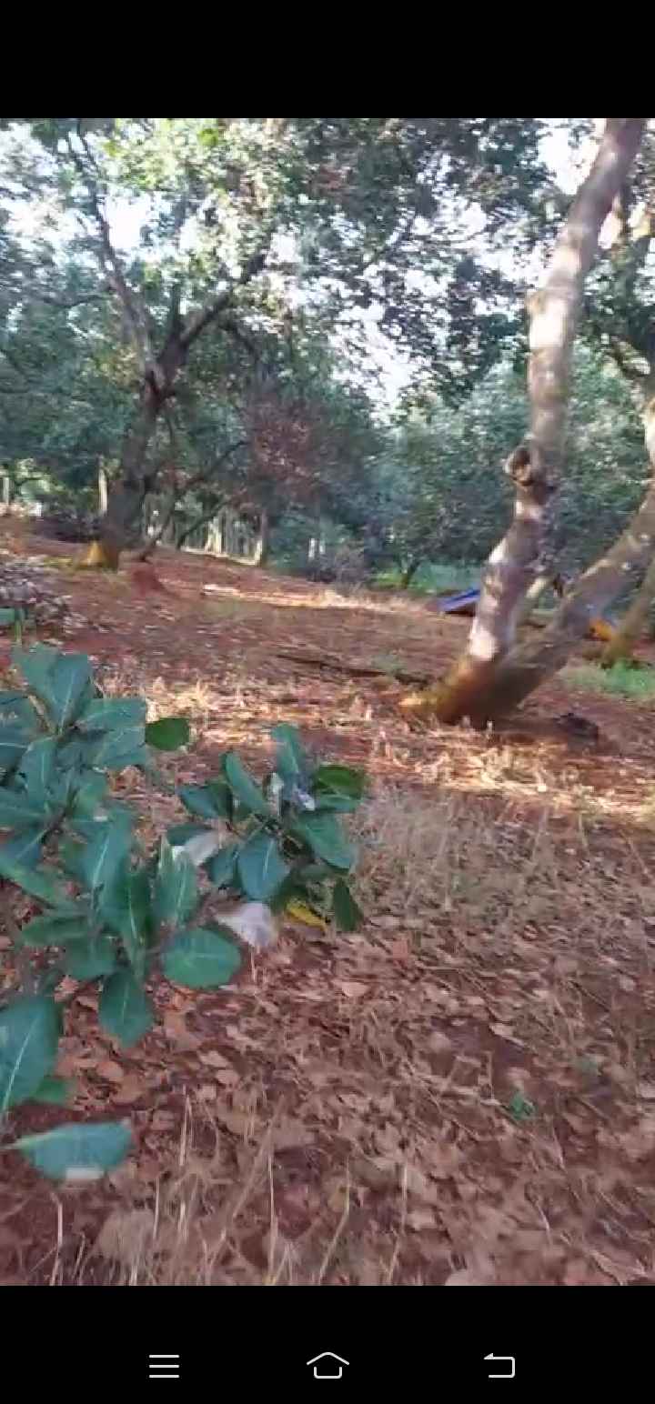 Đất nền Tân Phước Đồng Phú 16.500m² giá 2.2 tỷ - Cơ hội đầu tư tuyệt vời!