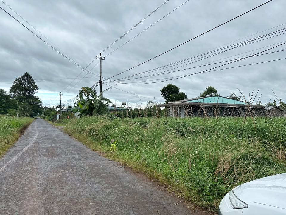 Đất thổ cư mặt đường nhựa thôn 3 Cư Suê 132.5m² giá 535 triệu - Đầu tư sinh lời hiệu quả!