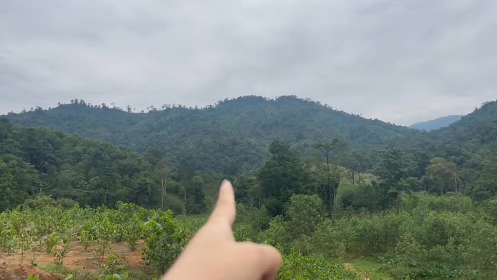 Bán đất rừng sản xuất Sơn Kim 1, Hương Sơn, Hà Tĩnh 30ha - Giá thỏa thuận hấp dẫn!