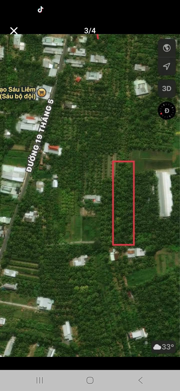 Đất vườn Dừa tại Phú Khương, Bến Tre 1538m² giá 800 triệu - Cơ hội đầu tư tuyệt vời!