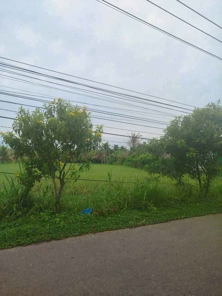 Đất nền Lương Hòa, Giồng Trôm 685m² giá 2.25 tỷ - Kinh doanh tiềm năng!