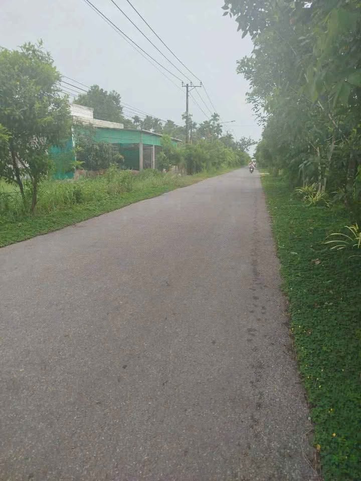 Đất nền Lương Hòa Giồng Trôm 2189m² giá 2,6 triệu/m² - Mặt tiền lộ nhựa thuận tiện!