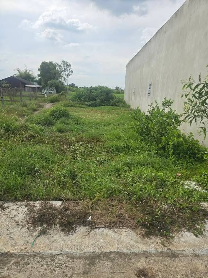 Đất nền Long Cang, Cần Đước 156m² giá 750 triệu - Sổ hồng chính chủ!