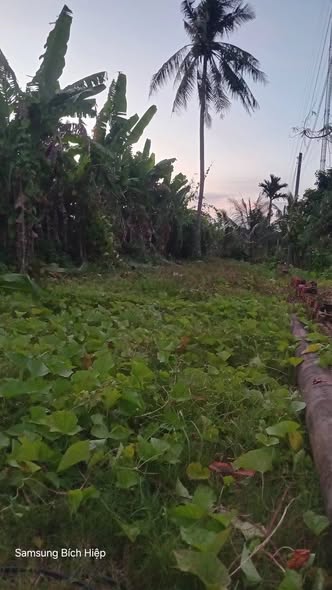 Đất mặt tiền QL927, TT Cây Dương, Hậu Giang 240m² giá 1.6 tỷ - Chính chủ cần bán gấp!