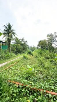 Đất nền Long Tuyền, Bình Thủy 42m² giá 690 triệu - Cơ hội đầu tư tuyệt vời!