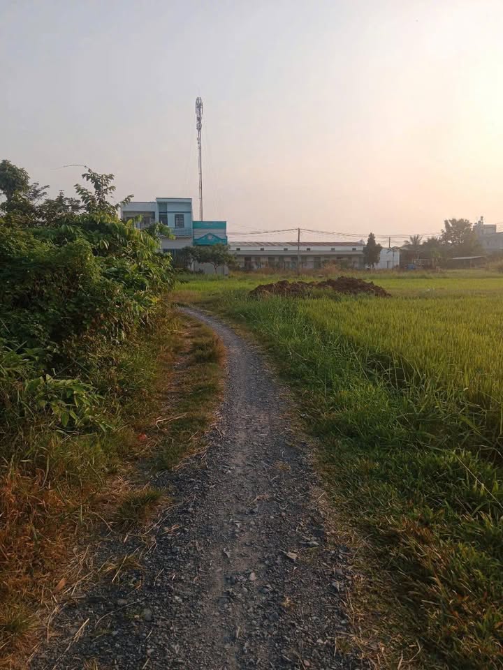 Đất thổ cư Mỹ Hạnh Bắc, Đức Hòa, Long An 400m² giá 2.35 tỷ - Cơ hội đầu tư sinh lời!