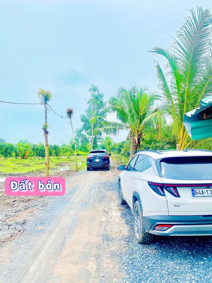 Đất nền mặt tiền Kênh Ông Đốc, xã Bình Đức, 1299m² giá chỉ 999 triệu - Cơ hội đầu tư sinh lời!