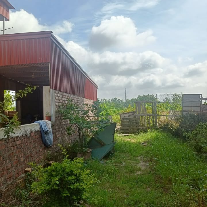 Đất nền Khu phố Mãn Xá Tây, Hà Mãn 80.8m² giá 3 tỷ - Cơ hội đầu tư hấp dẫn!