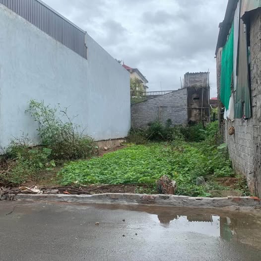 Đất nền Phủ Lý 88m² giá 1.9 tỷ - Đầu tư sinh lời lý tưởng!