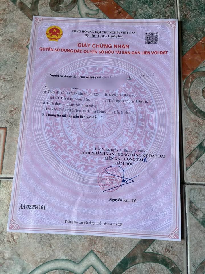 Đất nền Minh Tân Lương Tài 99m² - Vị trí đắc địa, sinh lời nhanh!