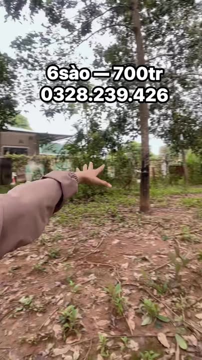 Đất nền 2400m² thôn 9, xã Ea Khal, giá 700 triệu - Đường ô tô tới đất!