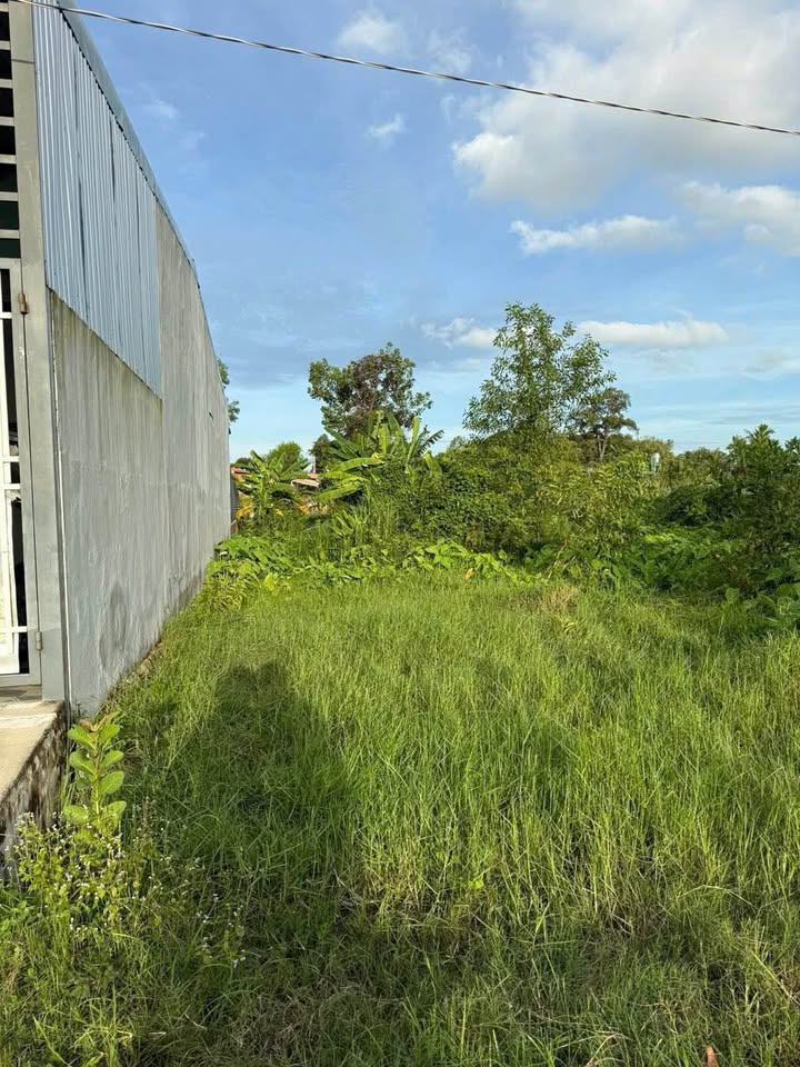 Đất nền Long Thành Nam 120m² giá 450 triệu - Lựa chọn đa dạng cho bạn!