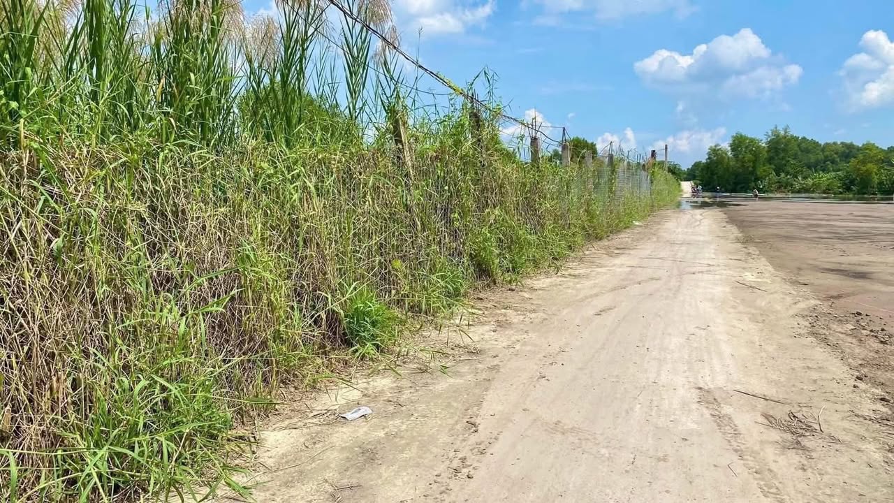 Đất nền Ấp Năm Châu, Gò Công 160m² giá 590 triệu - Sổ hồng chính chủ!