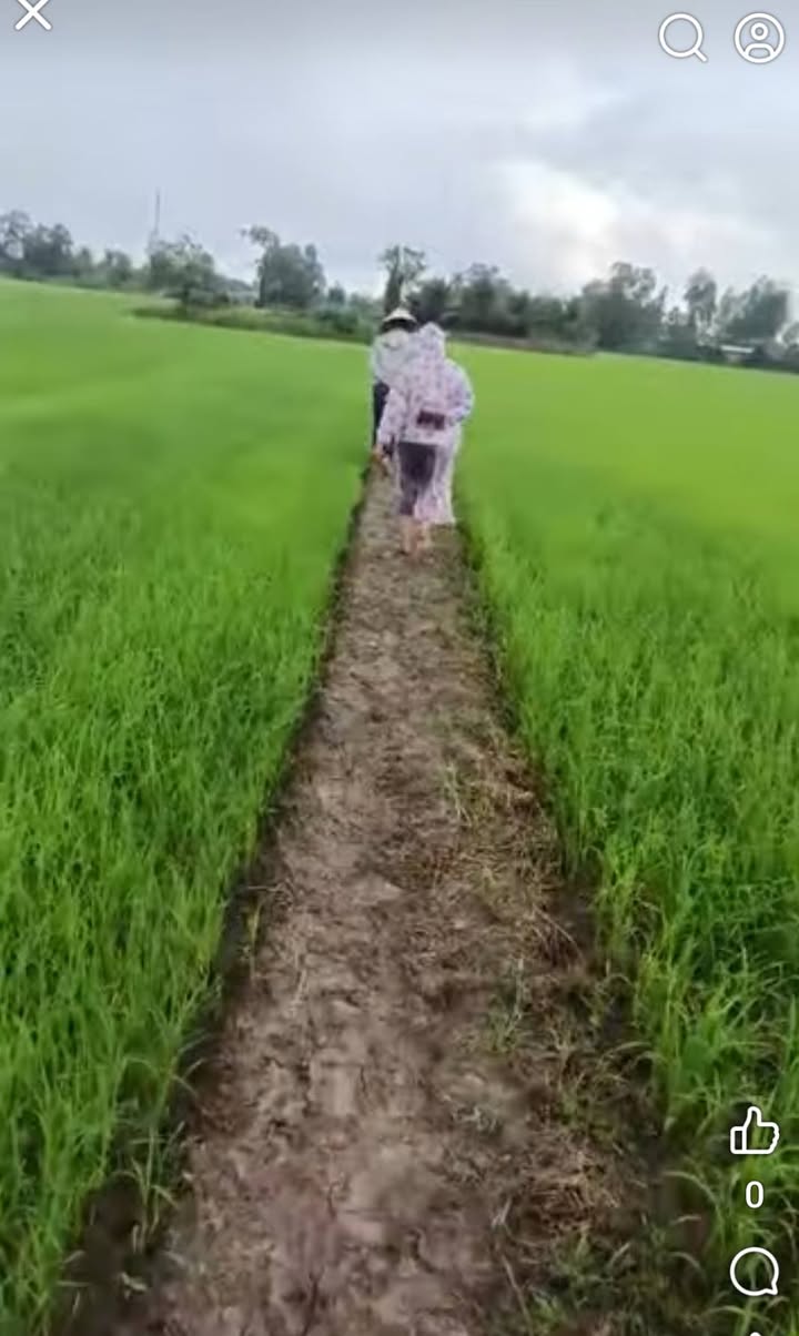 Đất nông nghiệp 5 công cặp kênh tại Gò Công Đông, Tiền Giang - Giá chỉ 700 triệu!