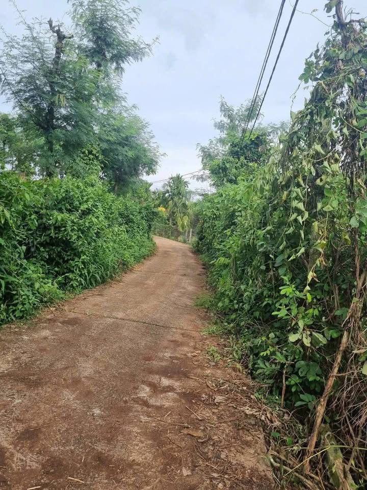 Đất nền Hòa Xuân 3600m² giá 650 triệu - Tiềm năng đầu tư lớn!