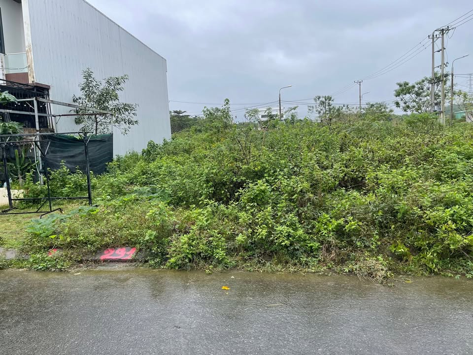 Đất nền TĐC Hòa Ninh - 109m² giá 1.8 tỷ - Vị trí đắc địa gần Bà Nà Hills!