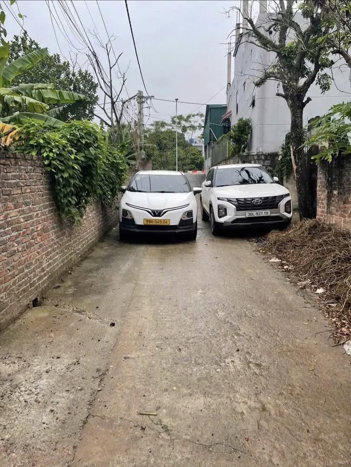 Đất nền chính chủ Đội 5, Tự Nhiên, 90.4m² giá chỉ 54 triệu/m - Cơ hội đầu tư tuyệt vời!