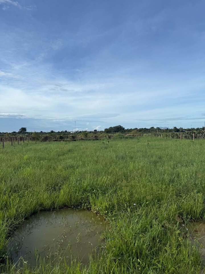 Đất nền Hàm Liêm 3600m² giá chỉ 339 triệu - Đầu tư sinh lời ngay!