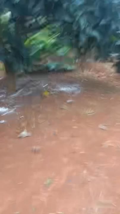 Đất nền Tà Hine, Lâm Đồng 19.000m² giá 5.5 tỷ - Cơ hội đầu tư tuyệt vời!