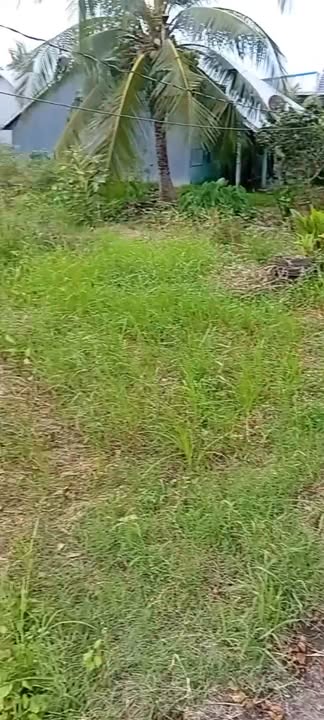 Đất tôm lúa 83.000m² tại xã Hưng Yên, An Biên - Giá thỏa thuận hấp dẫn!