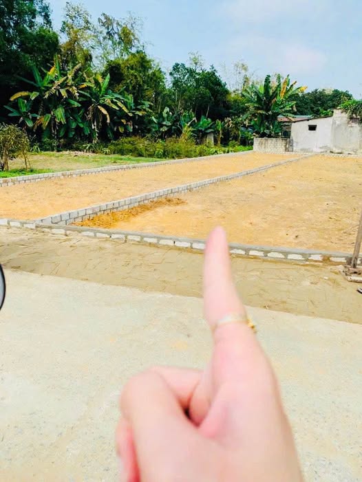 Đất nền khu phố Phổ Môn, Nghi Liên 147.3m² - Đường thông ô bàn cờ, giá tốt!