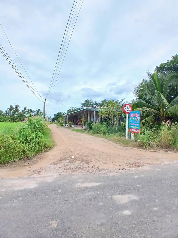 Đất thổ cư Tân Phong 200m² chỉ 99 triệu - Cơ hội đầu tư hấp dẫn!