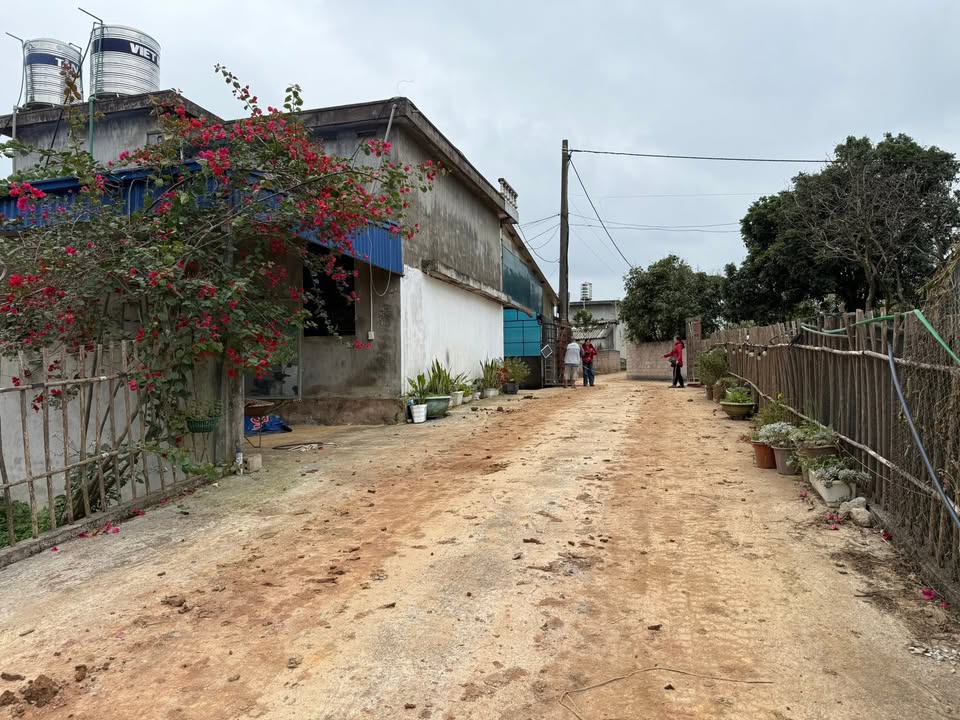 Đất nền 182m² tổ dân phố Hoa Đào, Mộc Châu - Giá chỉ 2 tỷ, cơ hội đầu tư tuyệt vời!