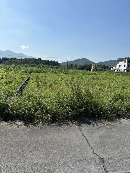 Đất Tái Định Cư Đồng Doi 116,8m² - Vị trí đẹp, giá đầu tư hấp dẫn!