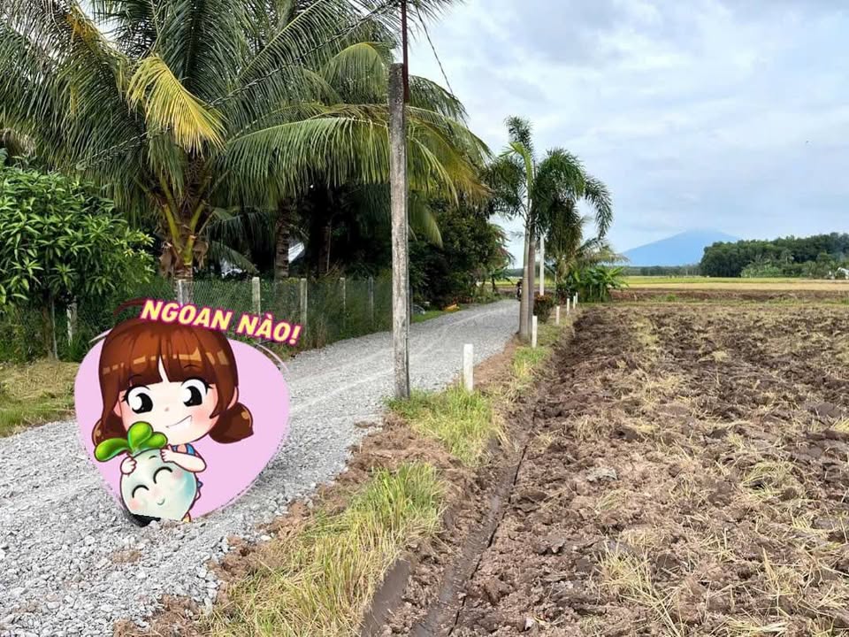 Đất nền 1000m² Suối Dộp, Thái Bình, Châu Thành - Giá chỉ 300 triệu, đầu tư sinh lời!