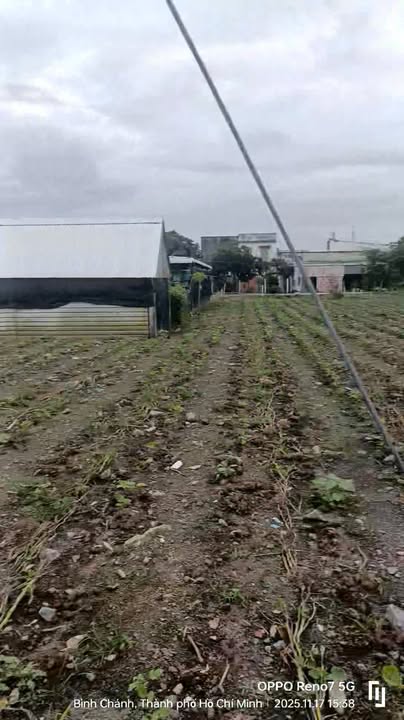 Đất thổ cư Hưng Long, Bình Chánh 1160m² giá 8,2 tỷ - 2 mặt tiền thuận lợi!