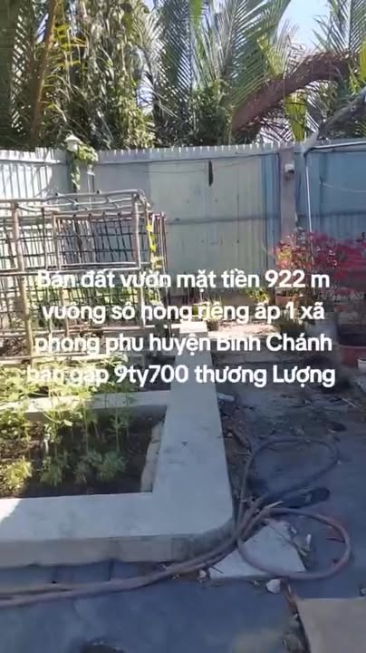 Đất vườn 922m² xã Phong Phú, huyện Bình Chánh - Sổ hồng riêng, giá 9.7 tỷ TL