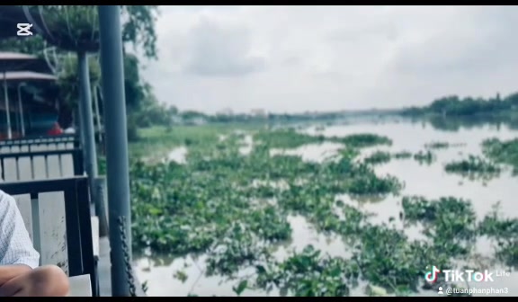 Đất nền Vĩnh Phú, Thuận An 54m² giá 2.8 tỷ - Gần Quốc Lộ 13, tiện ích đầy đủ!