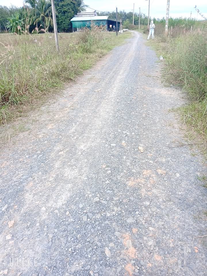 Đất nền 1000m² đường Đồng Khởi, Châu Thành, Tây Ninh chỉ 399 triệu - Cơ hội đầu tư hấp dẫn!