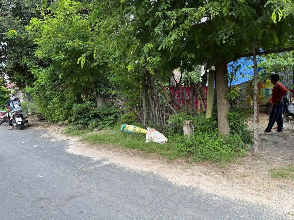 Đất nền chính chủ đường đê lũ núi, xã Văn Giáo, 115m² chỉ 230 triệu - Cơ hội đầu tư tuyệt vời!