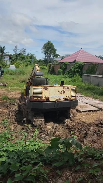 Farm 3.888m² mặt tiền ĐT951, xã Châu Phong, giá 12 tỷ - Pháp lý rõ ràng, cơ hội đầu tư tốt!