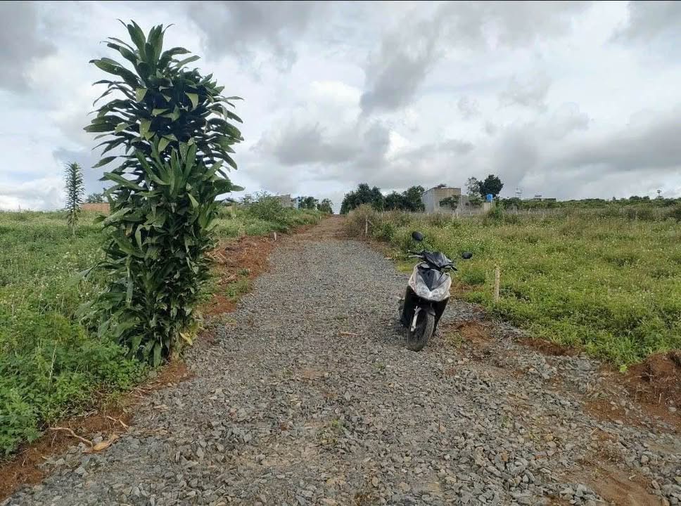 Đất nền 447 Lý Thường Kiệt, Bảo Lộc 500m² giá 780 triệu - Sổ đỏ chính chủ!