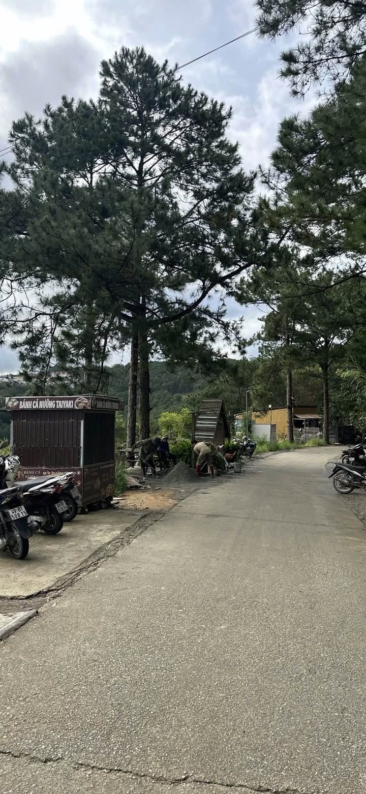 Đất mặt tiền hẻm Hùng Vương, Đà Lạt 111m² giá 1.28 tỷ - View rừng thông tuyệt đẹp!