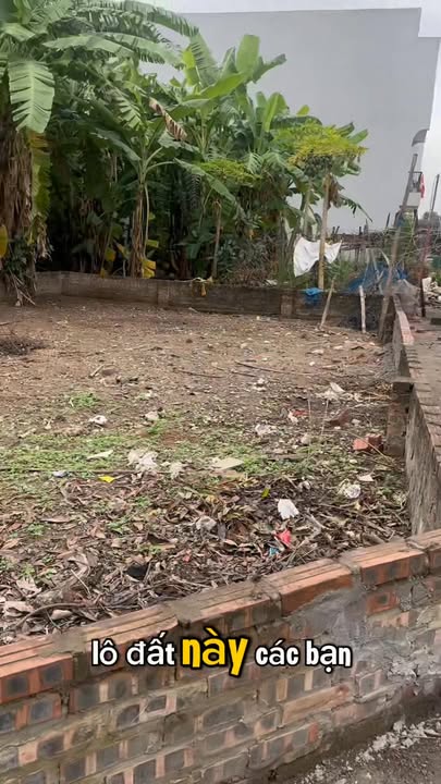 Lô đất góc 101m² tại xã Việt Hùng - Giá chỉ 4 tỷ - Đầu tư sinh lời ngay!