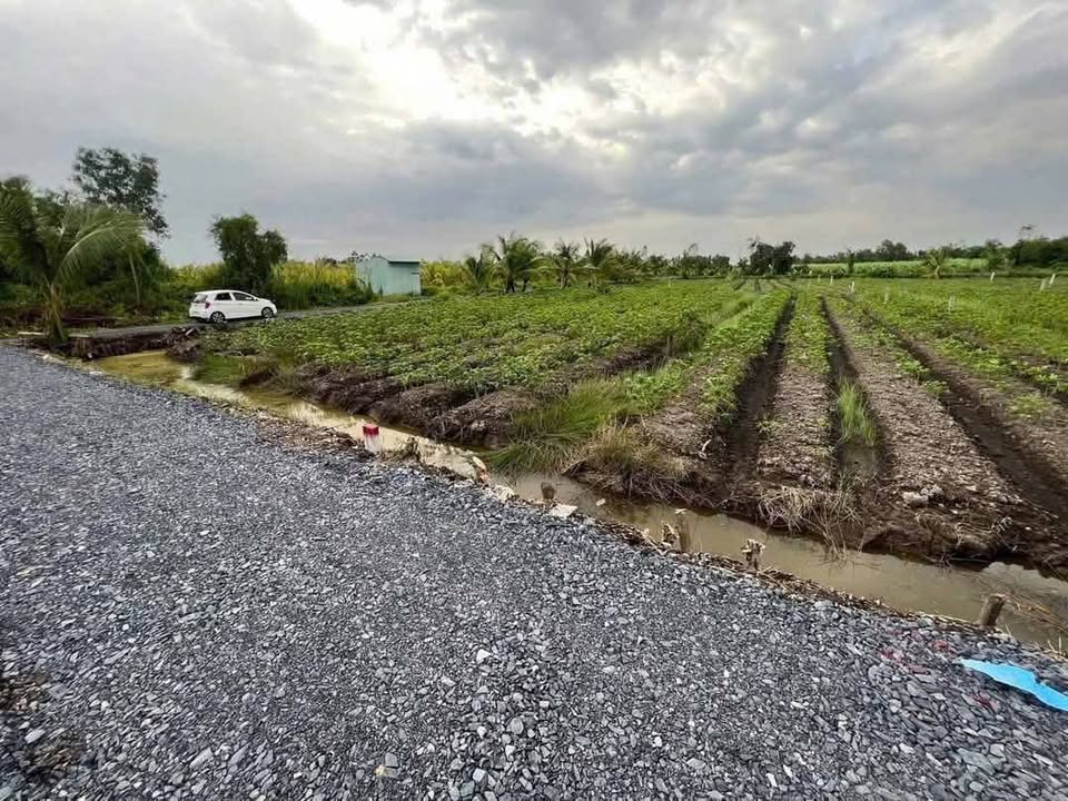 Đất nền 500m² tại xã Bình Đức, Bến Lức, Long An - Giá chỉ 490 triệu - Sổ đỏ chính chủ!