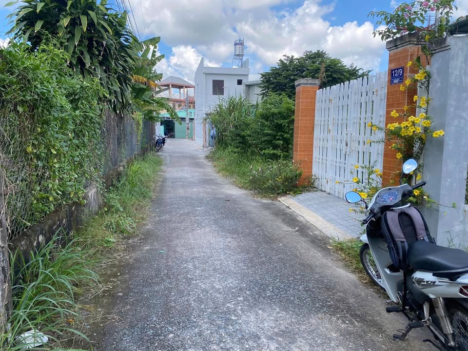 Đất thổ cư 110m² phường 3, TP Tây Ninh giá chỉ 1.35 tỷ - Cơ hội đầu tư tuyệt vời!