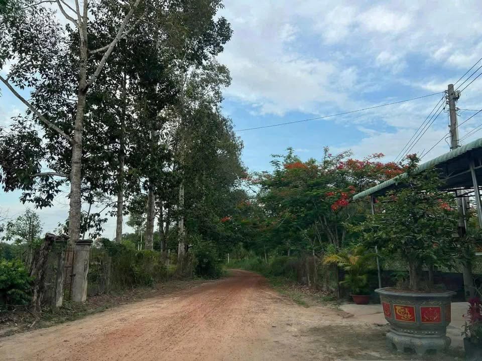 Đất Định An Dầu Tiếng 1700m² giá 1.1 tỷ - Đầu tư sinh lời hiếm có!