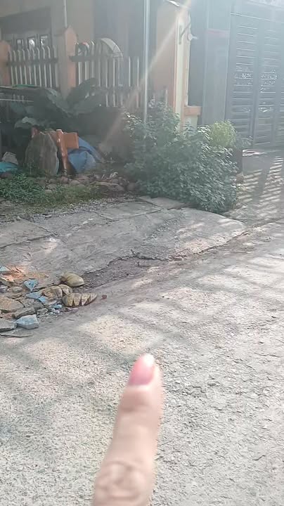 Đất nền Thọ Long 229m² giá thỏa thuận - Cơ hội đầu tư sinh lời!